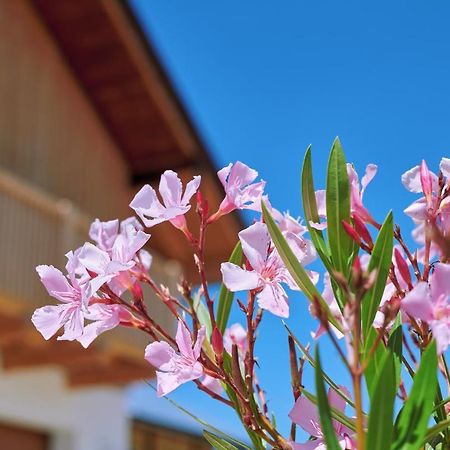 Ferienwohnung Zimmer Tittmoning Stadtplatz 27 Dış mekan fotoğraf